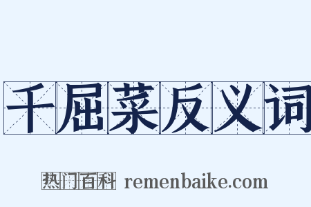 千屈菜反义词是什么意思的图片